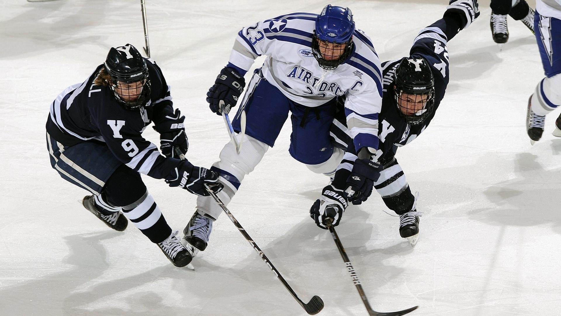 体育类APP用户行为分析报告，体育app市场分析